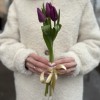 3 фиолетовых тюльпана