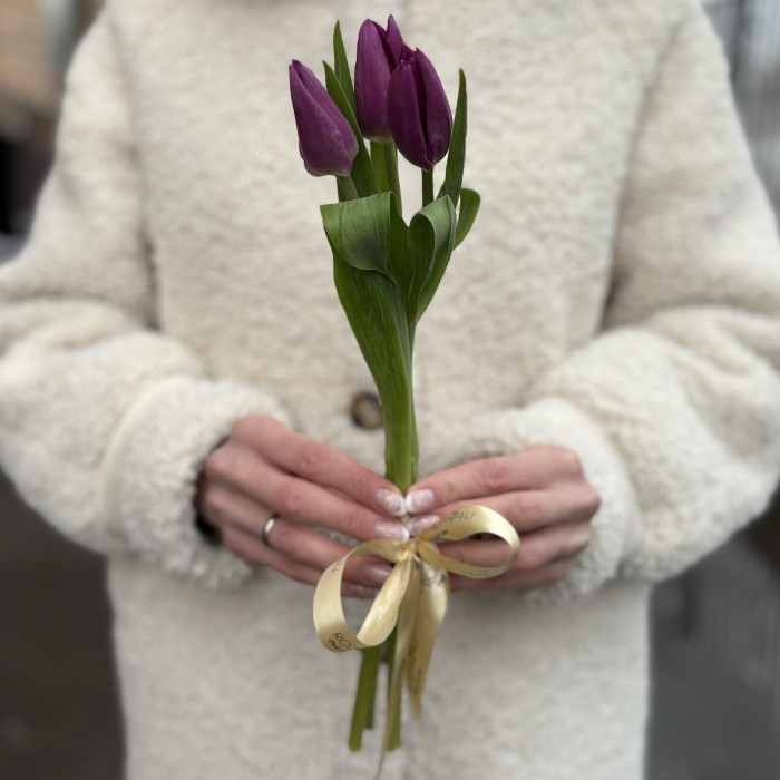 3 фиолетовых тюльпана