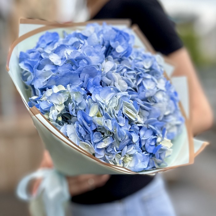 3 голубые гортензии
