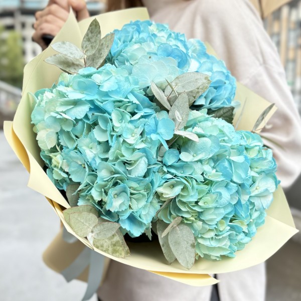 3 голубые гортензии с эвкалиптом