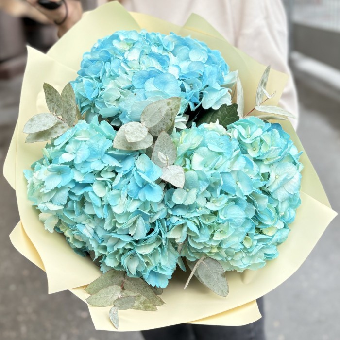 3 голубые гортензии с эвкалиптом