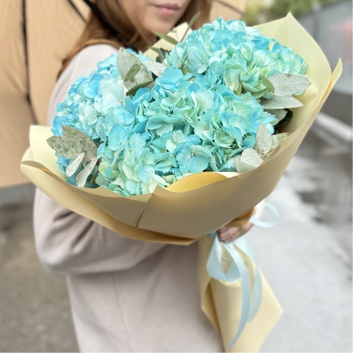 3 голубые гортензии с эвкалиптом