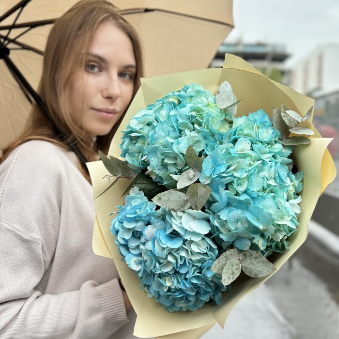 3 голубые гортензии с эвкалиптом