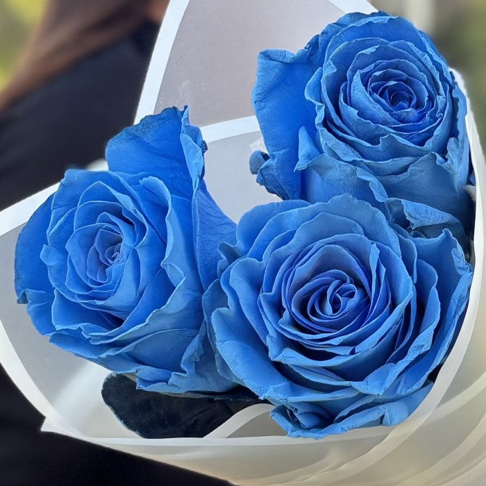 3 голубые розы Бэби блю
