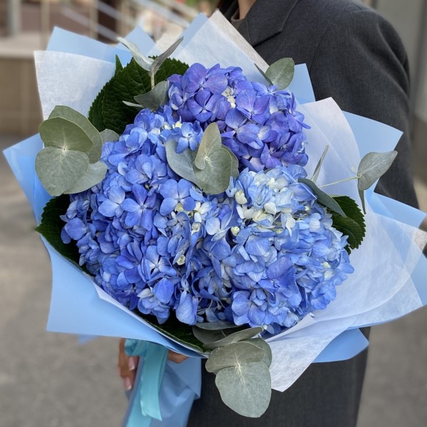 3 гортензии Блю Шокинг с эвкалиптом