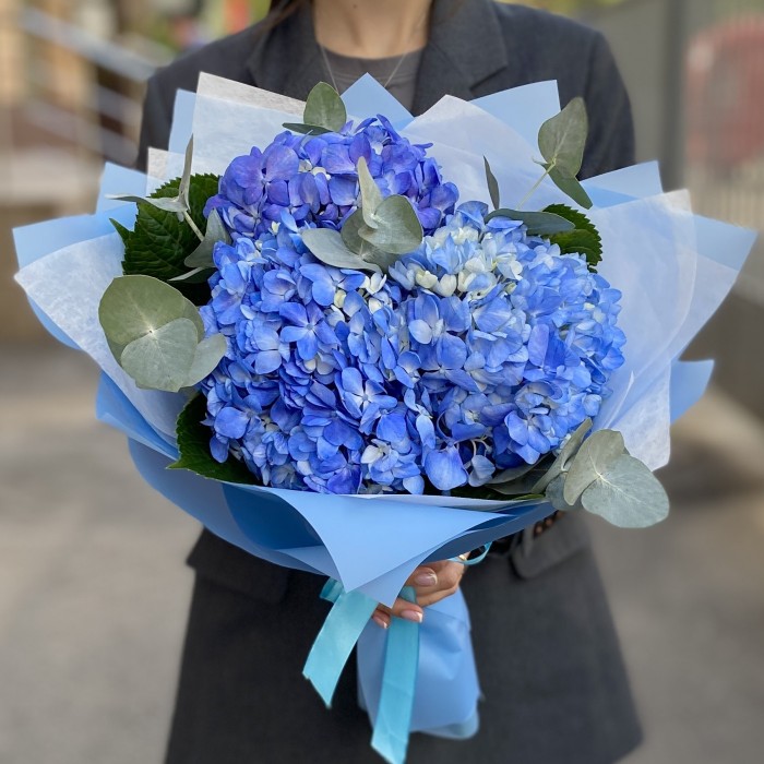 3 гортензии Блю Шокинг с эвкалиптом