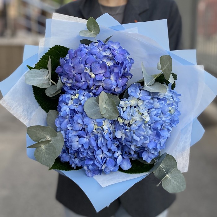 3 гортензии Блю Шокинг с эвкалиптом