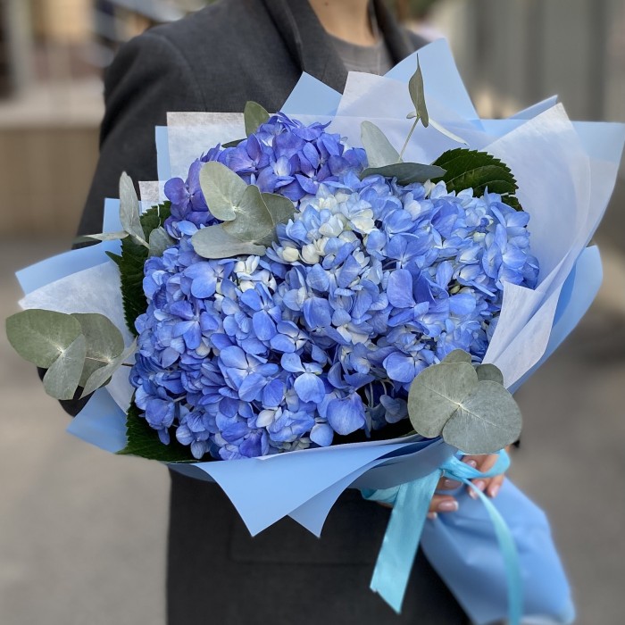 3 гортензии Блю Шокинг с эвкалиптом