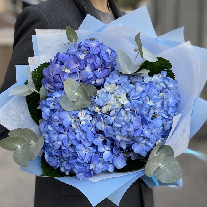 3 гортензии Блю Шокинг с эвкалиптом