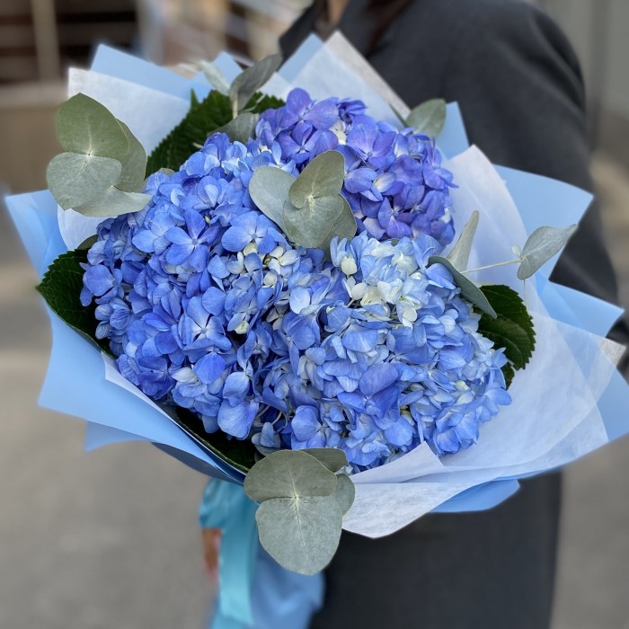 3 гортензии Блю Шокинг с эвкалиптом