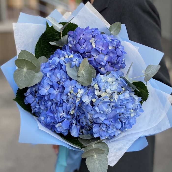 3 гортензии Блю Шокинг с эвкалиптом