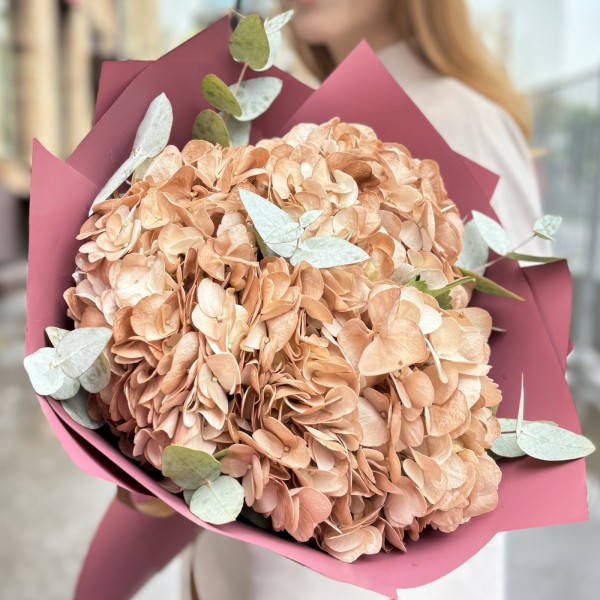 3 гортензии капучино с эвкалиптом