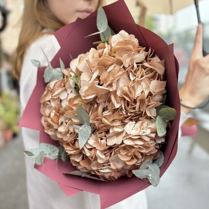 3 гортензии капучино с эвкалиптом