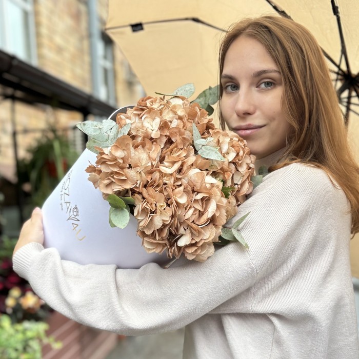 3 гортензии капучино с эвкалиптом в коробке