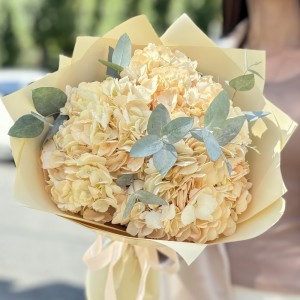 3 персиковые гортензии  эвкалиптом