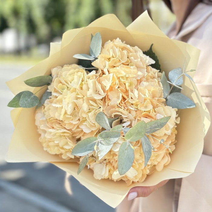 3 персиковые гортензии  эвкалиптом