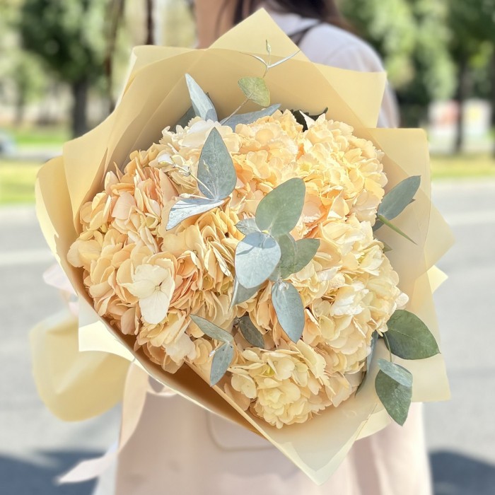 3 персиковые гортензии  эвкалиптом