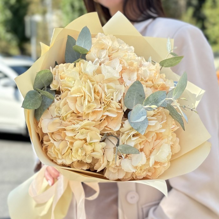 3 персиковые гортензии  эвкалиптом