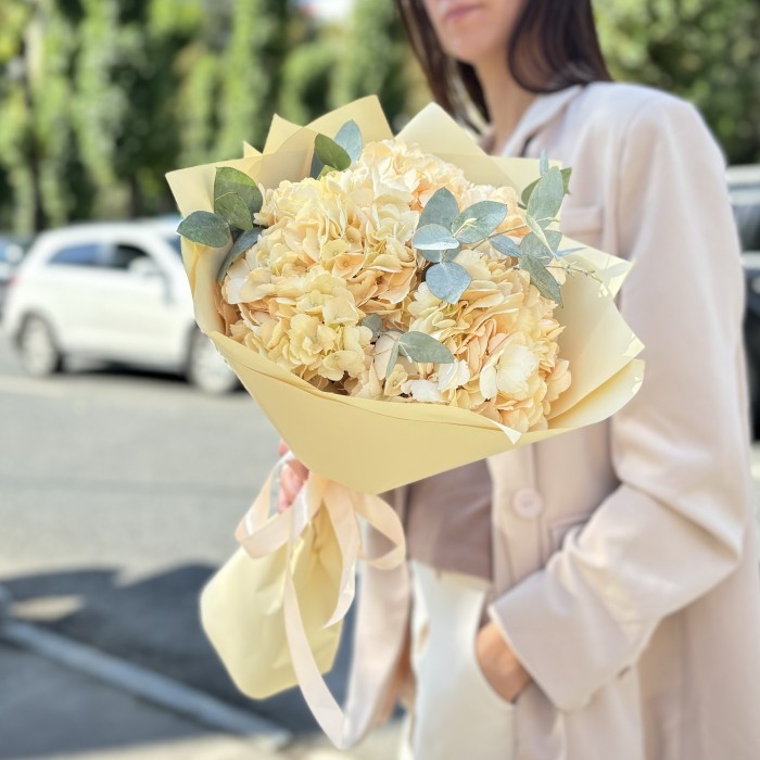 3 персиковые гортензии  эвкалиптом