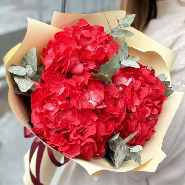 3 красные гортензии с эвкалиптом