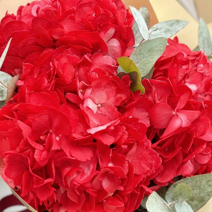 3 красные гортензии с эвкалиптом