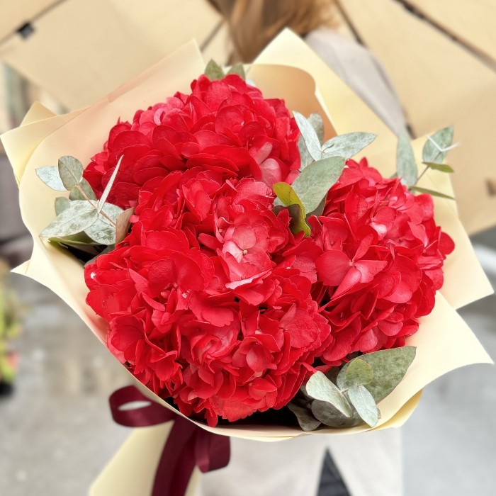 3 красные гортензии с эвкалиптом