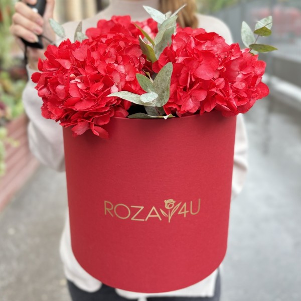 3 красные гортензии с эвкалиптом в коробке