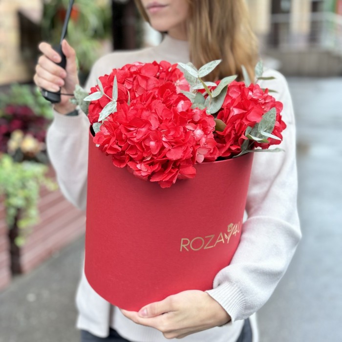 3 красные гортензии с эвкалиптом в коробке