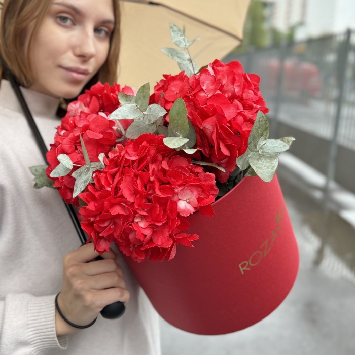 3 красные гортензии с эвкалиптом в коробке