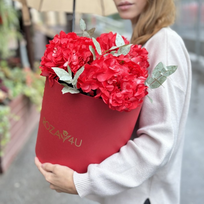 3 красные гортензии с эвкалиптом в коробке