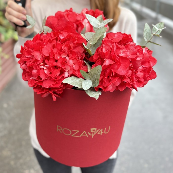 3 красные гортензии с эвкалиптом в коробке