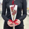 3 красные розы в упаковке
