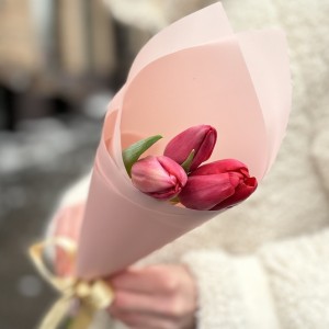 3 красных тюльпана в упаковке