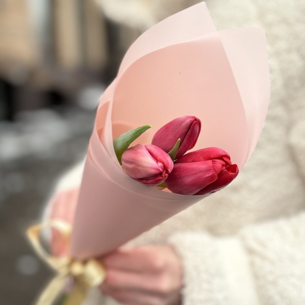 3 красных тюльпана в упаковке