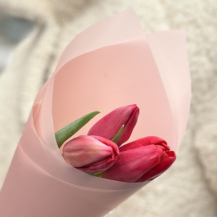 3 красных тюльпана в упаковке