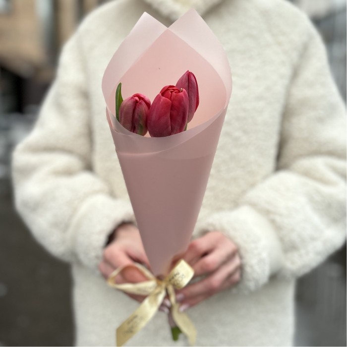 3 красных тюльпана в упаковке