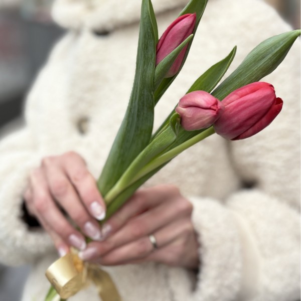 3 красных тюльпана