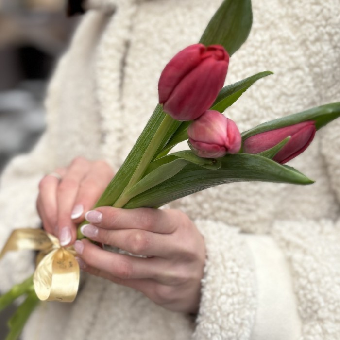 3 красных тюльпана