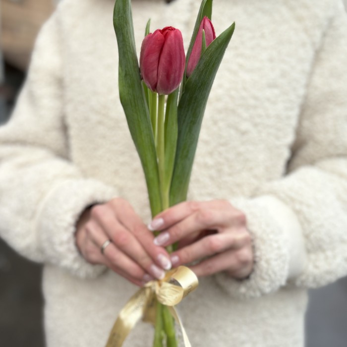 3 красных тюльпана