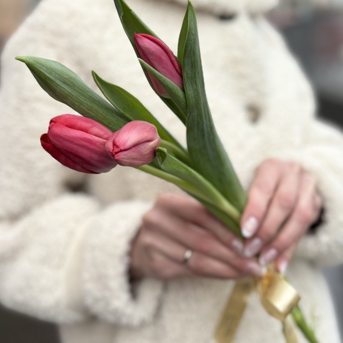 3 красных тюльпана