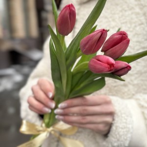 5 красных тюльпанов