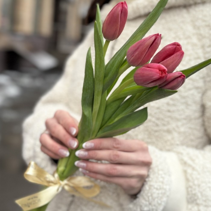 5 красных тюльпанов