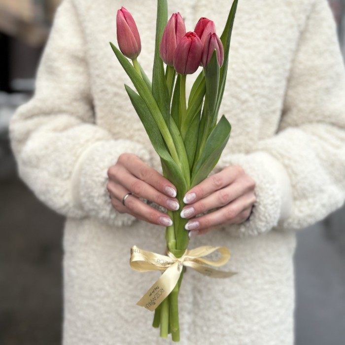 5 красных тюльпанов