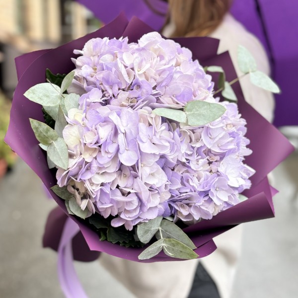 3 лавандовые гортензии с эвкалиптом