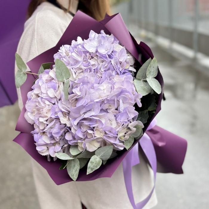 3 лавандовые гортензии с эвкалиптом