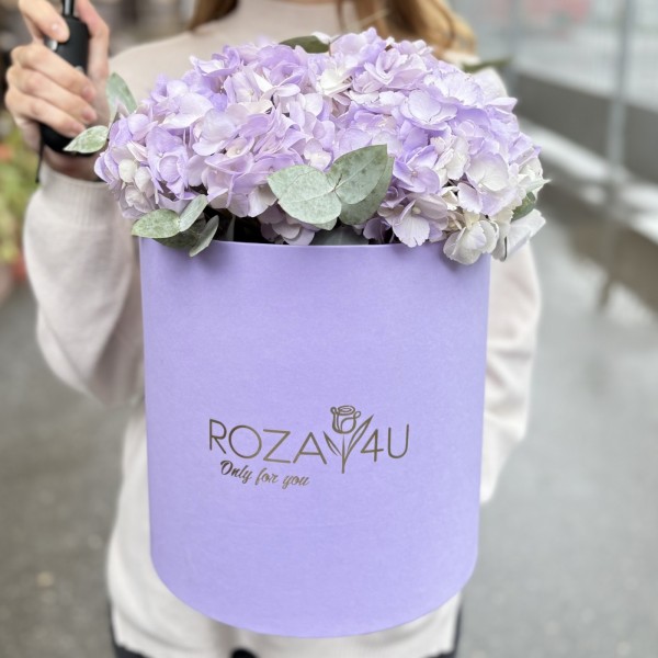 3 лавандовые гортензии с эвкалиптом в коробке