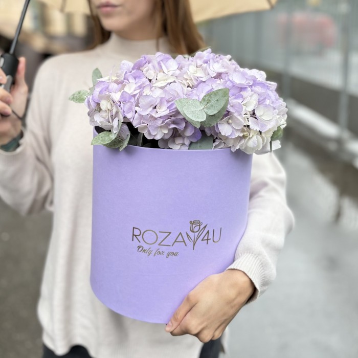 3 лавандовые гортензии с эвкалиптом в коробке