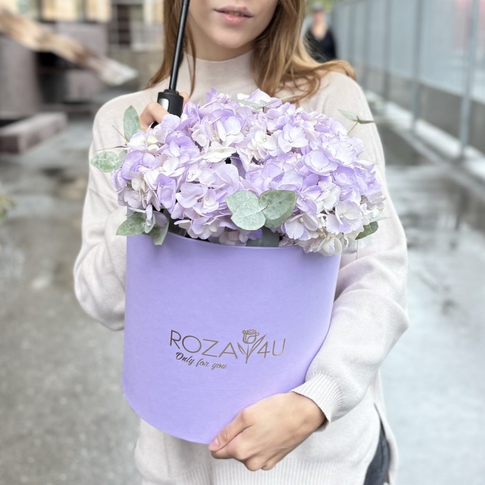 3 лавандовые гортензии с эвкалиптом в коробке