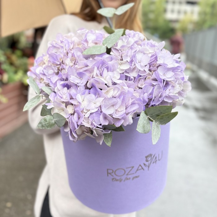 3 лавандовые гортензии с эвкалиптом в коробке