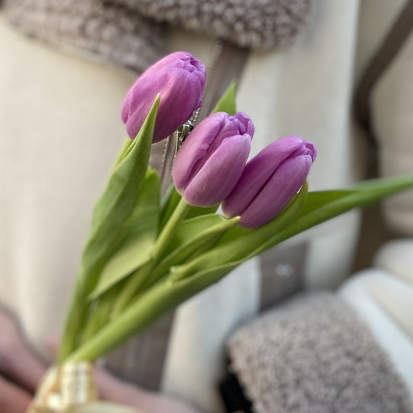 3 лиловых тюльпана с лентой